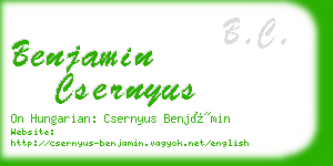 benjamin csernyus business card